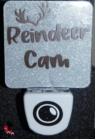 Reindeer Cam